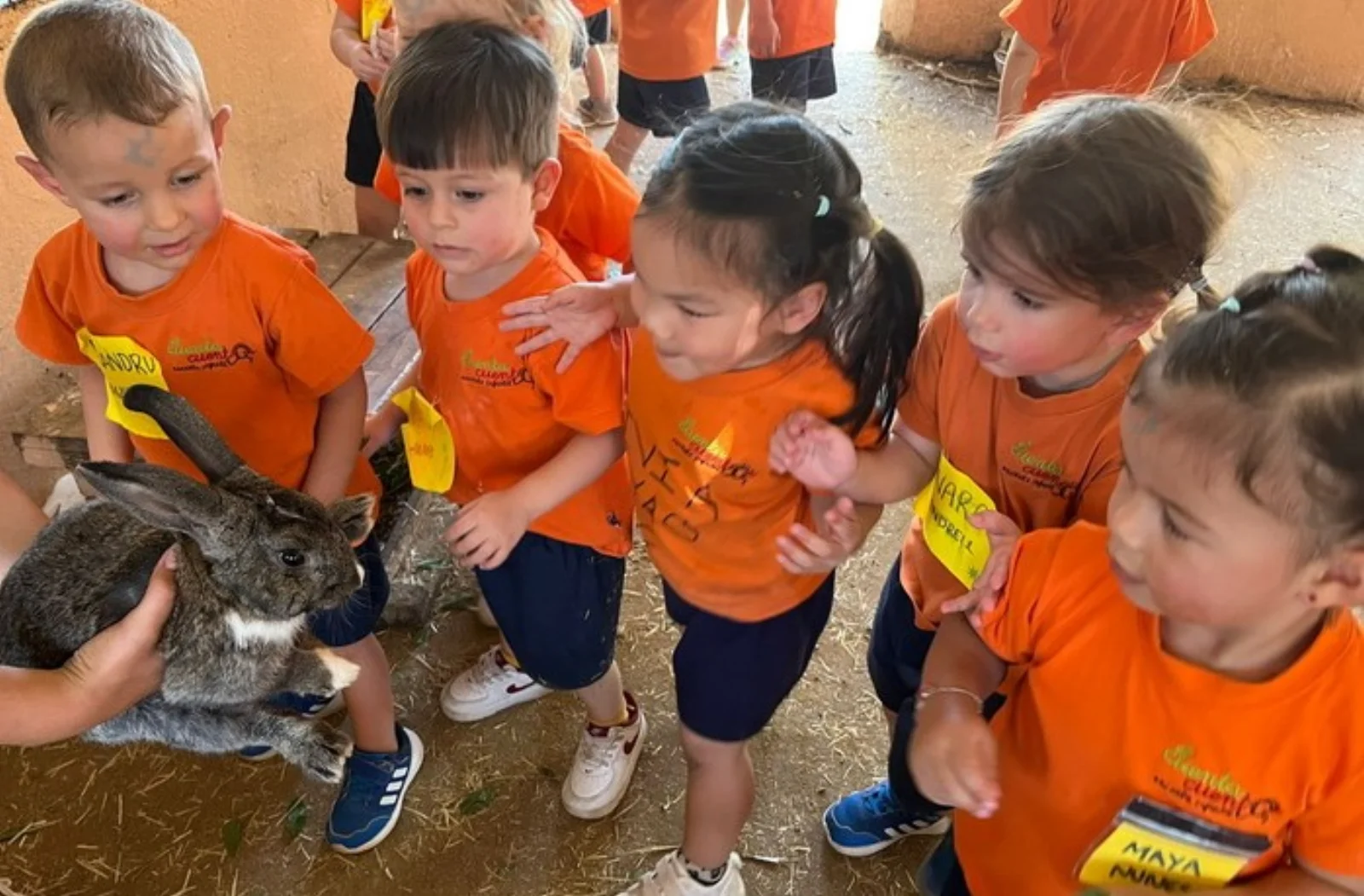 Excursión escolar de El Cuentacuentos