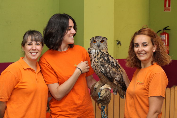 Taller de Animales