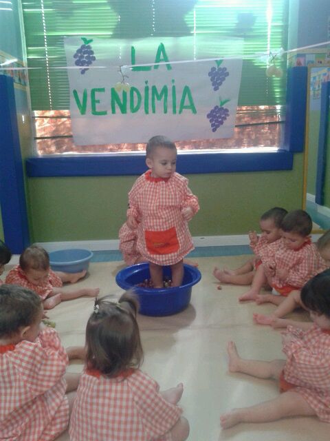 Estamos de vendimia
