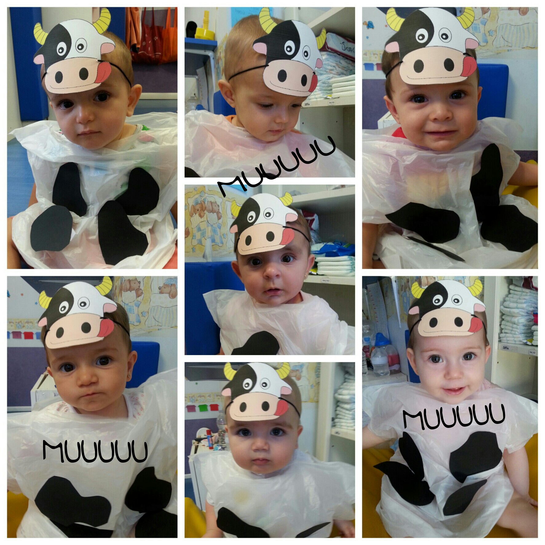 Muuuuuu... somos vaquitas
